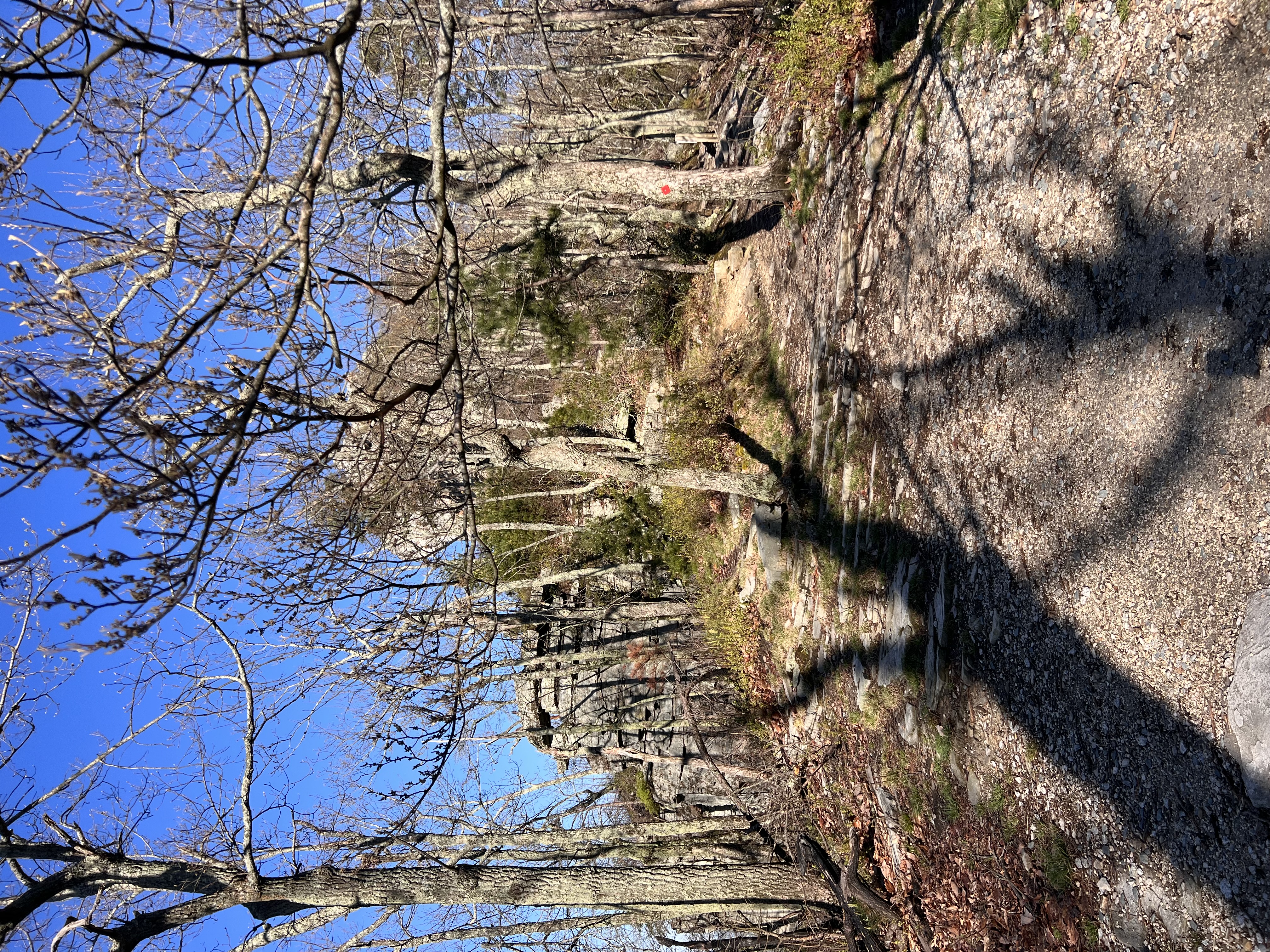 ./2023/05 - Toni Adventures/IMG_2927.JPG